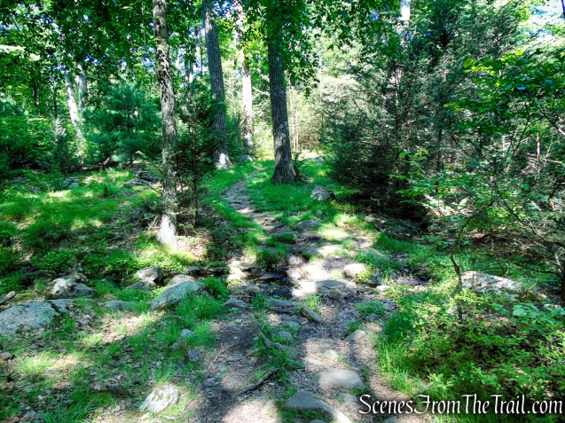 Arden-Surebridge Trail - Pine Swamp Mountain