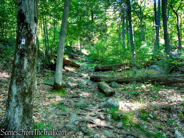 Arden-Surebridge Trail - Pine Swamp Mountain