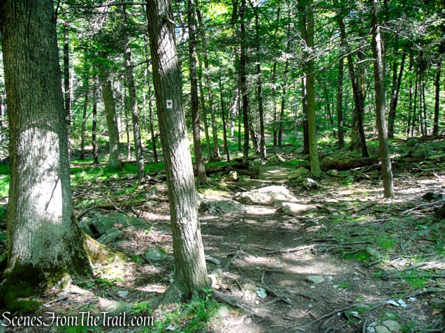 Arden-Surebridge Trail - Pine Swamp Mountain