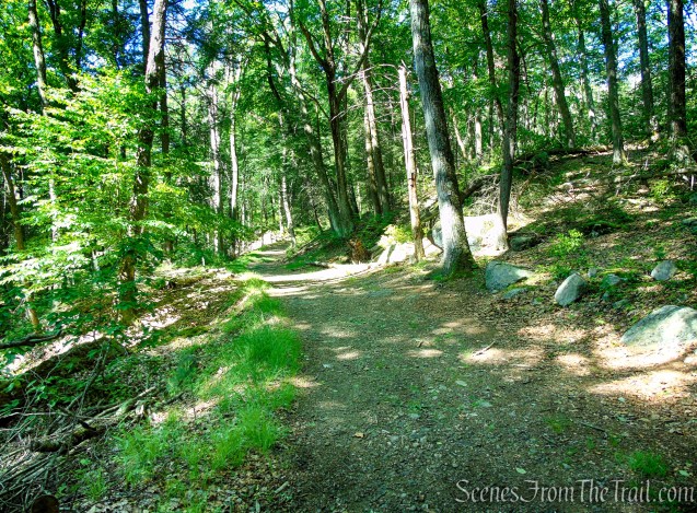 Arden-Surebridge Trail - Pine Swamp Mountain