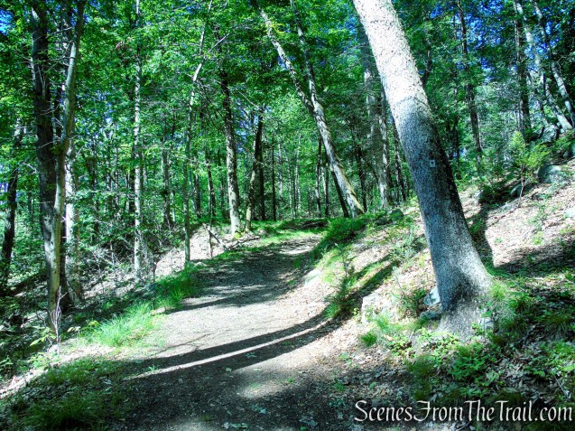 Arden-Surebridge Trail - Pine Swamp Mountain
