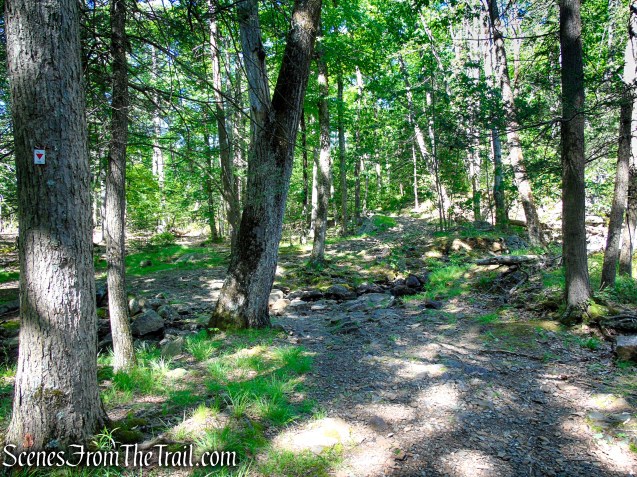 Arden-Surebridge Trail - Pine Swamp Mountain
