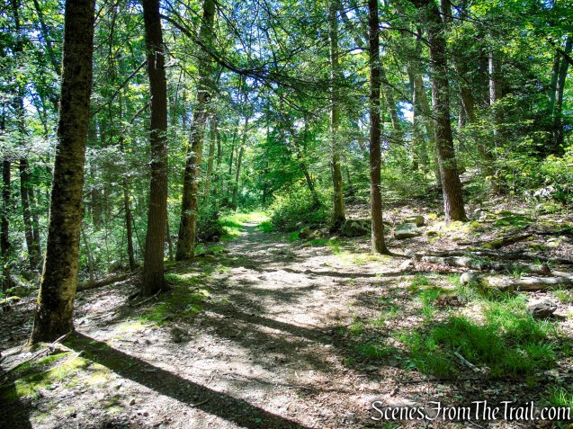 Dunning Trail - Harriman State Park