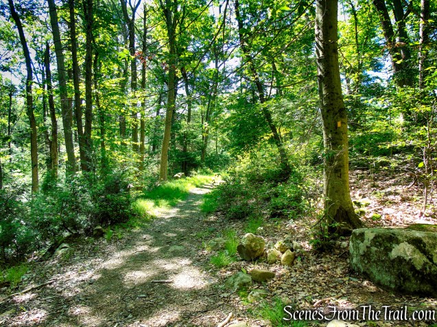 Dunning Trail - Harriman State Park