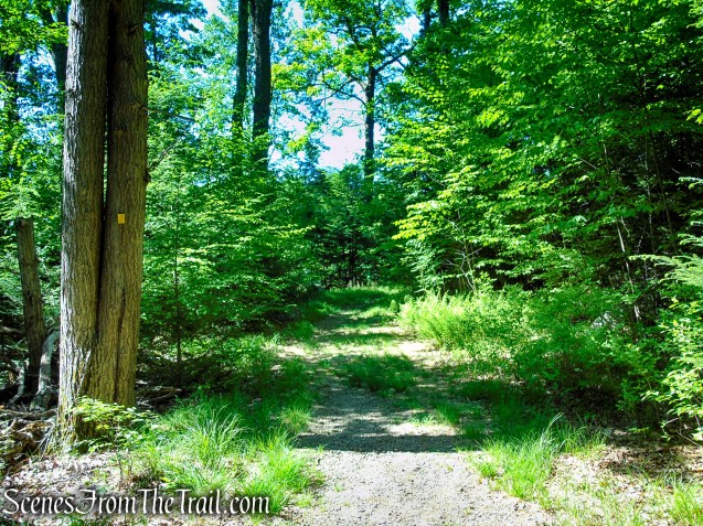 Dunning Trail - Harriman State Park