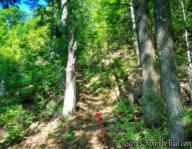 Pine Swamp Mine Trail - Harriman State Park