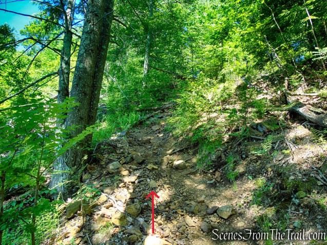 Pine Swamp Mine Trail - Harriman State Park
