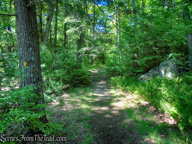 Dunning Trail - Harriman State Park