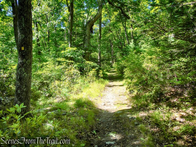 Dunning Trail - Harriman State Park