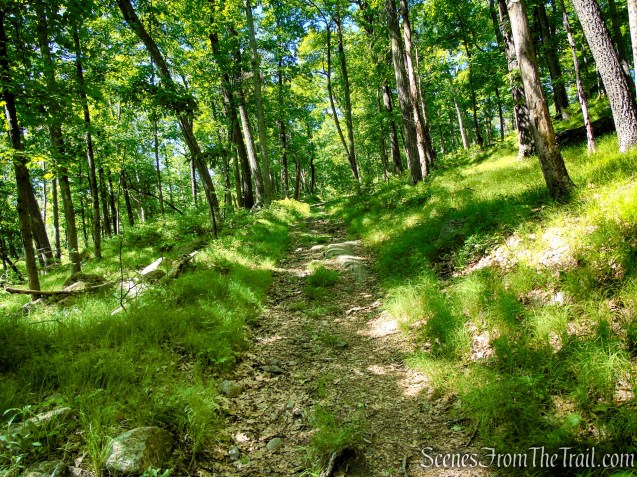 Dunning Trail - Harriman State Park