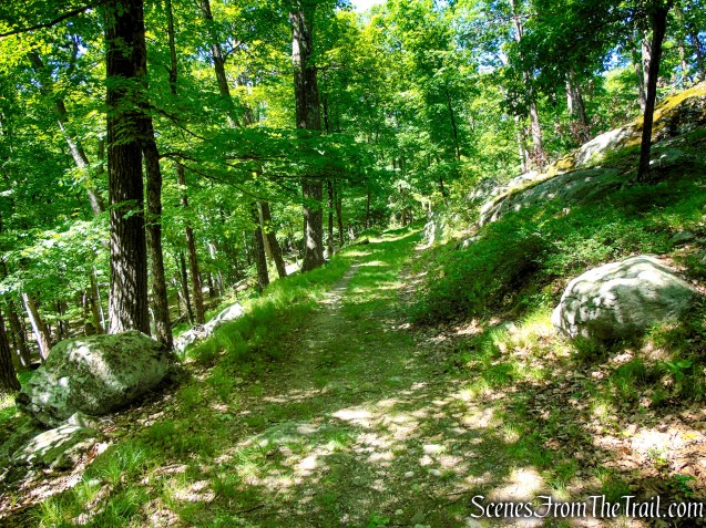 Dunning Trail - Harriman State Park
