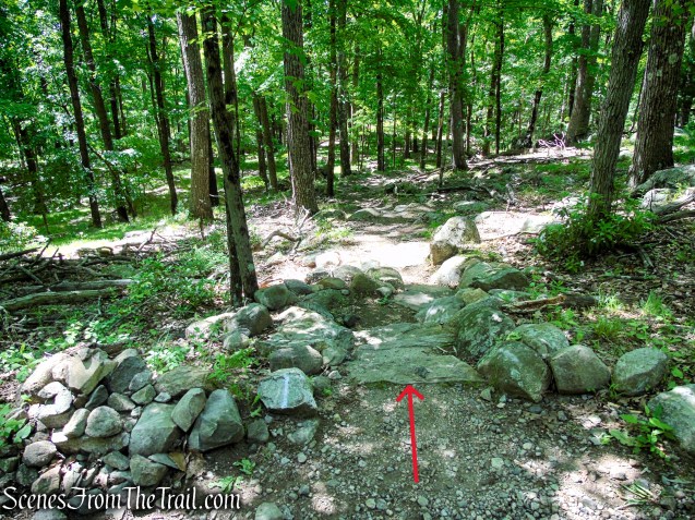Long Path - Harriman State Park