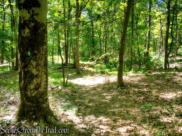 Long Path - Harriman State Park
