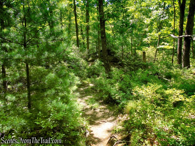 Long Path - Harriman State Park