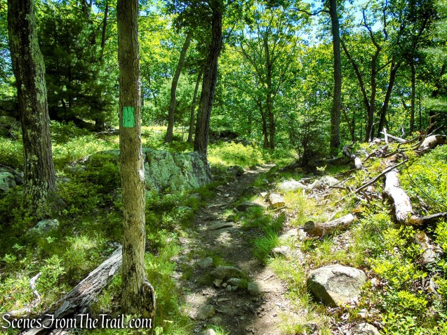 Long Path - Harriman State Park