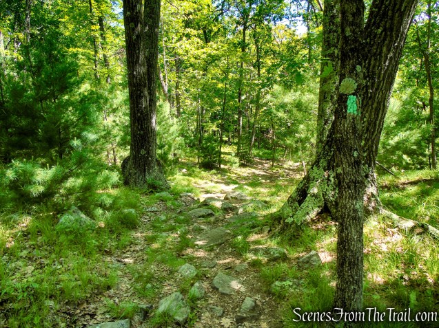 Long Path - Harriman State Park