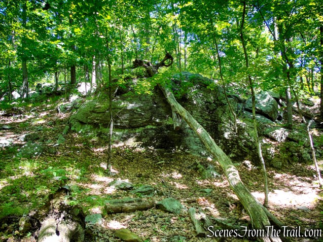 Long Path - Harriman State Park