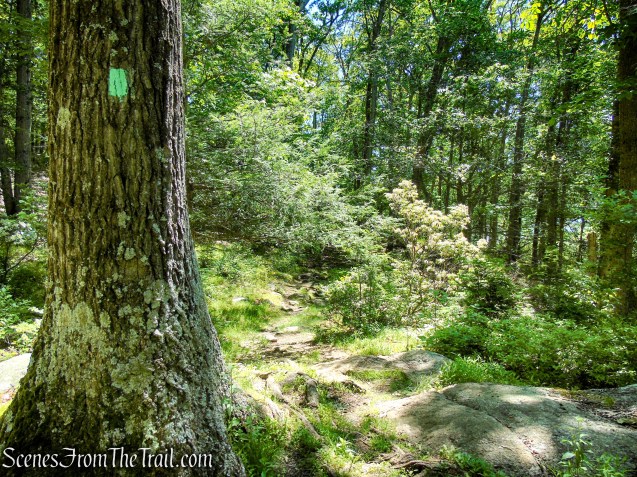 Long Path - Harriman State Park
