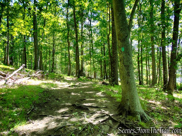 Long Path - Harriman State Park