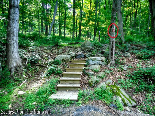 Candlewood Hill Trailhead - Bell Hollow Road
