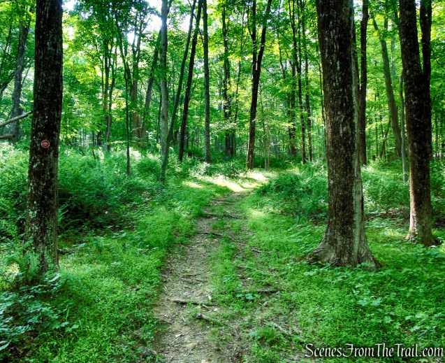 Candlewood Hill Trail - Fahnestock State Park