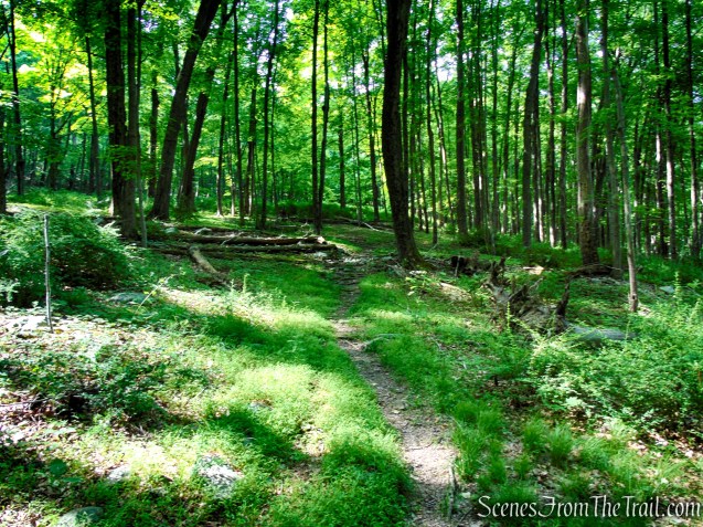 Candlewood Hill Trail - Fahnestock State Park