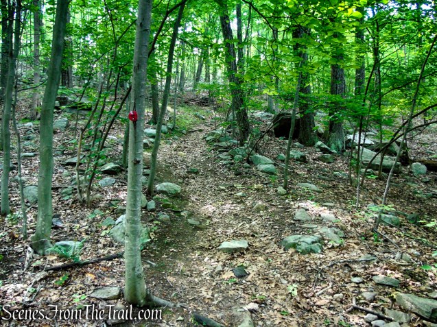 Candlewood Hill Trail - Fahnestock State Park