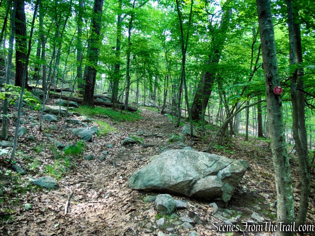 Candlewood Hill Trail - Fahnestock State Park