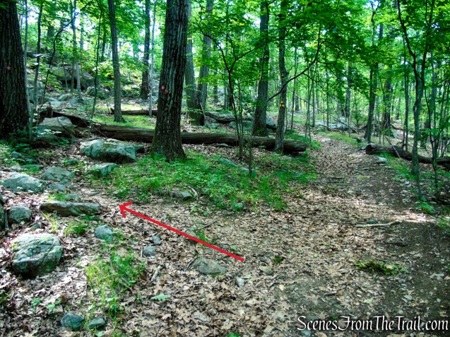 Candlewood Hill Trail - Fahnestock State Park