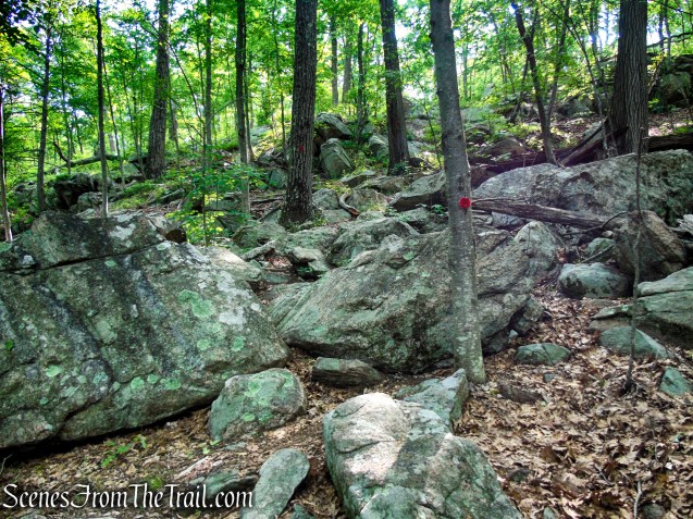 Candlewood Hill Trail - Fahnestock State Park