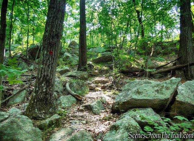 Candlewood Hill Trail - Fahnestock State Park