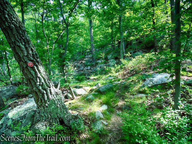 Candlewood Hill Trail - Fahnestock State Park