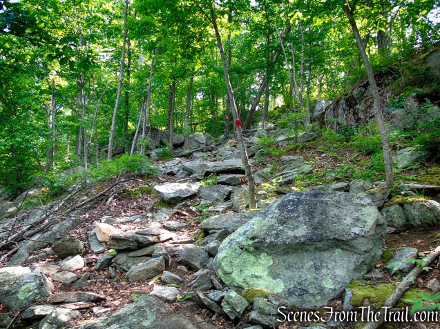 Candlewood Hill Trail - Fahnestock State Park