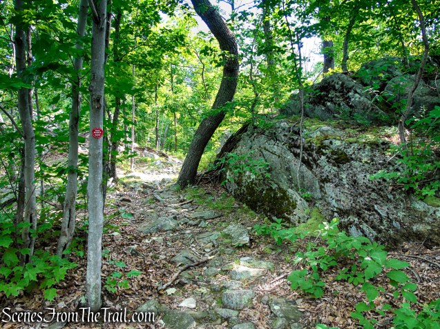 Candlewood Hill Trail - Fahnestock State Park