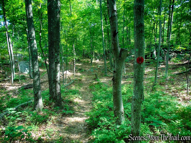 Candlewood Hill Trail - Fahnestock State Park