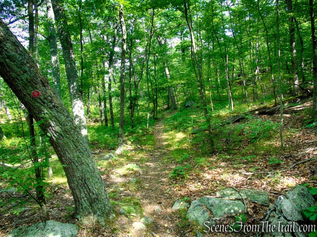 Candlewood Hill Trail - Fahnestock State Park