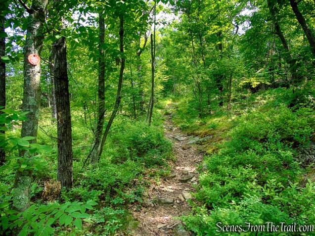 Candlewood Hill Trail - Fahnestock State Park