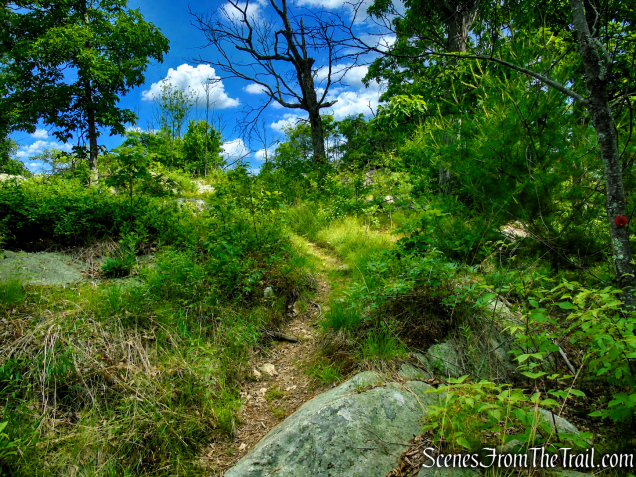 Candlewood Hill Trail - Fahnestock State Park