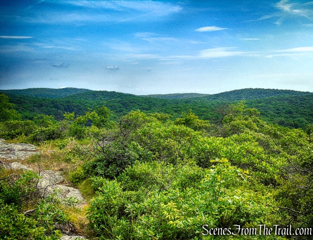 Candlewood Hill summit - Fahnestock State Park