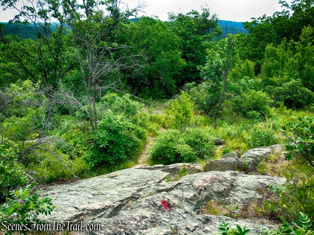Candlewood Hill Trail - Fahnestock State Park