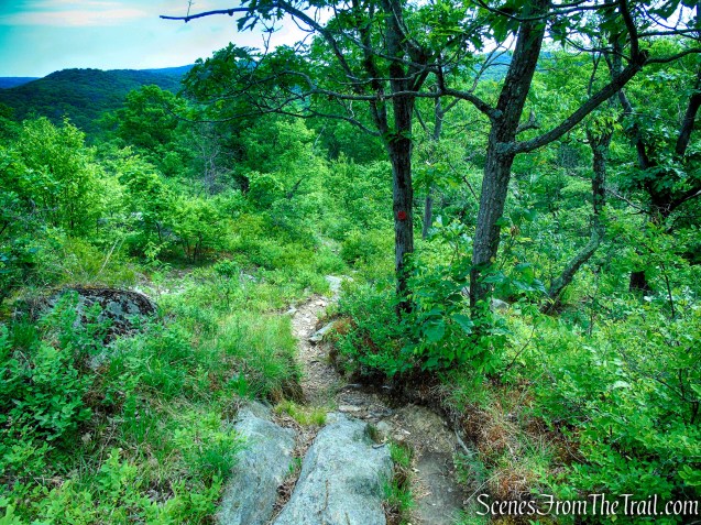 Candlewood Hill Trail - Fahnestock State Park