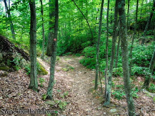 Candlewood Hill Trail - Fahnestock State Park