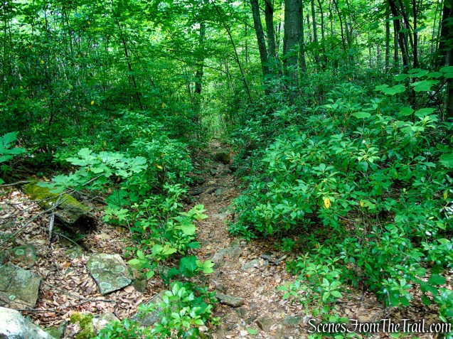 Candlewood Hill Trail - Fahnestock State Park