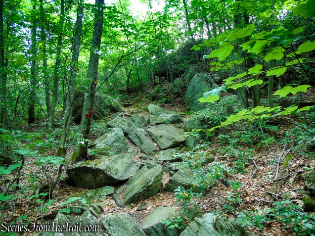 Candlewood Hill Trail - Fahnestock State Park