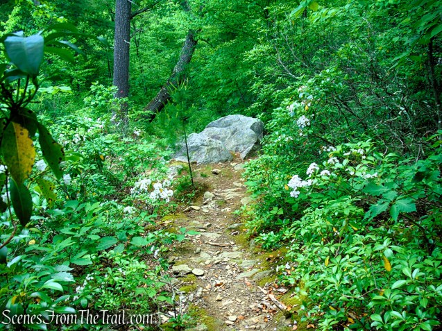 Candlewood Hill Trail - Fahnestock State Park