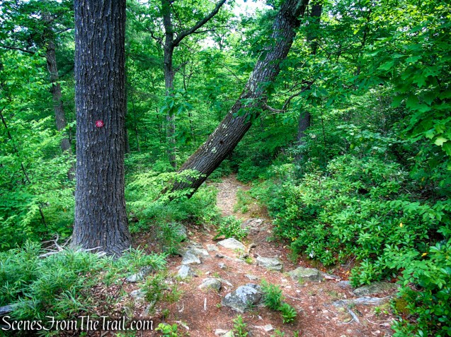 Candlewood Hill Trail - Fahnestock State Park
