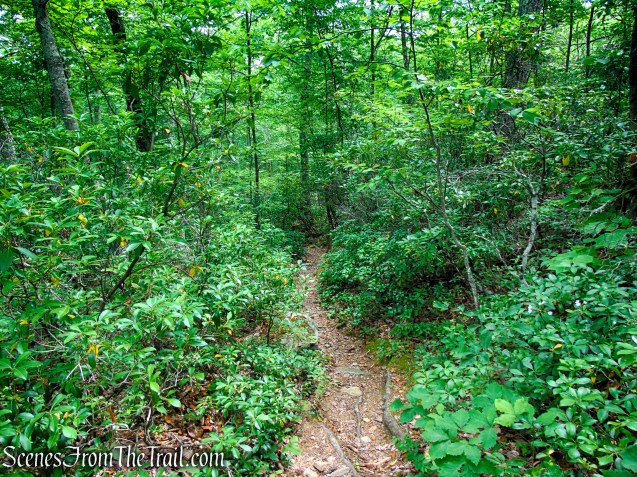 Candlewood Hill Trail - Fahnestock State Park
