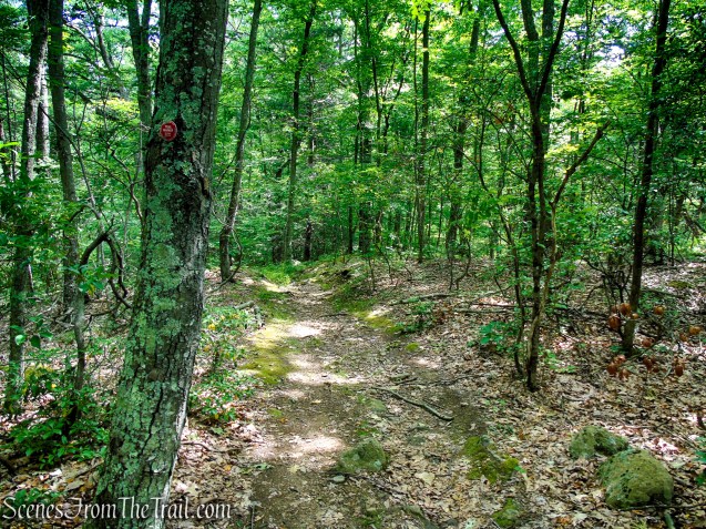 Candlewood Hill Trail - Fahnestock State Park