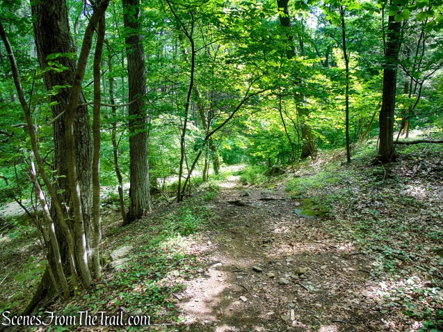 Candlewood Hill Trail - Fahnestock State Park
