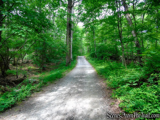 Sunken Mine Road - Fahnestock State Park